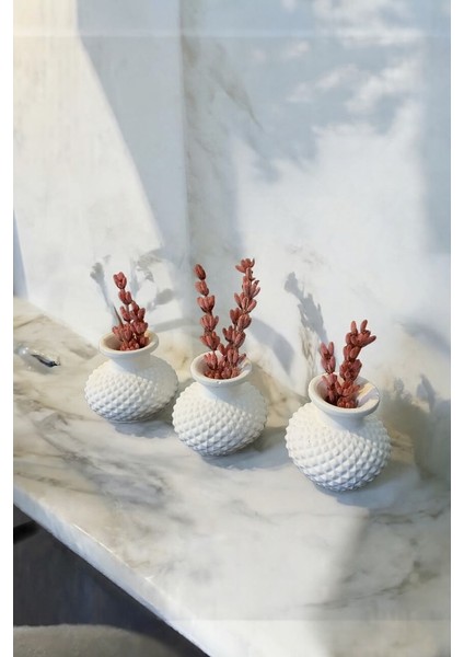 3lü Dekoratif Beyaz Mini Vazo Set + Şoklanmış Çiçek