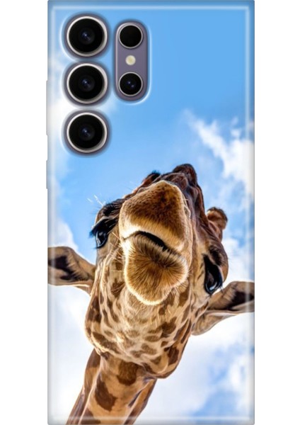 Samsung Galaxy S24 Ultra Kılıf Motifli Renkli Esnek Silikon Öpücük