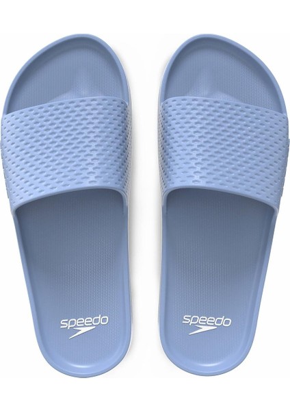 Slides Ent Terlik - 8-00377816004