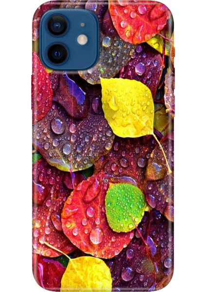 Apple iPhone 12 Kılıf Renkli Baskılı Silikon Sonbahar