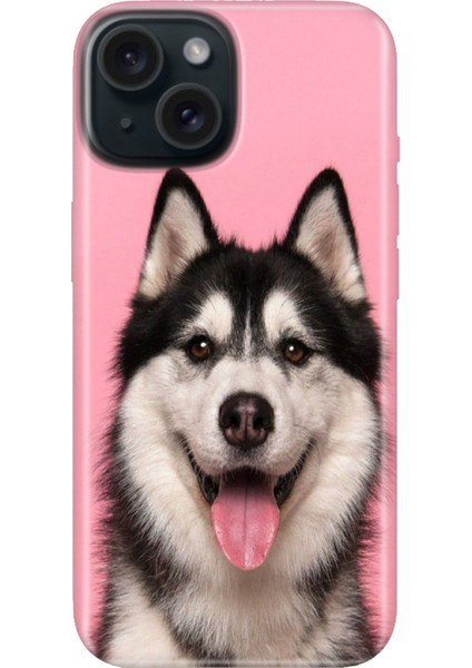 iPhone 15 Uyumlu Kılıf Desenli Kapak Renkli Tpu Uv Hasky