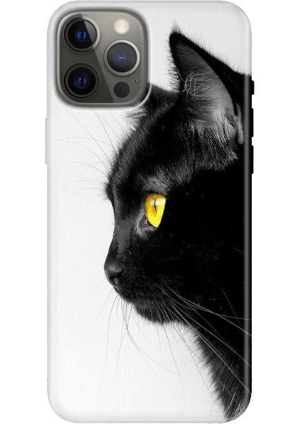 iPhone 12 Pro Max Kılıf Tasarım Baskılı Silikon Kedi Bakışı
