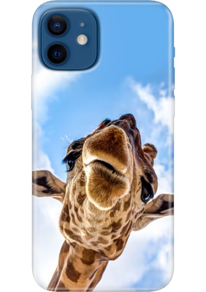 Apple iPhone 12 Kılıf Renkli Baskılı Silikon Öpücük