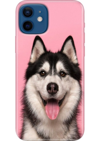 Apple iPhone 12 Kılıf Renkli Baskılı Silikon Hasky