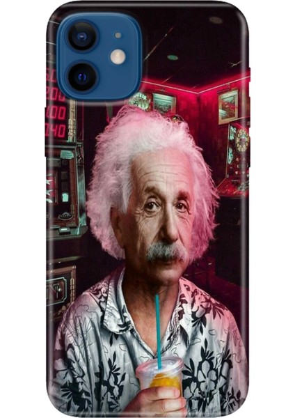 Apple iPhone 12 Kılıf Renkli Baskılı Silikon Albert