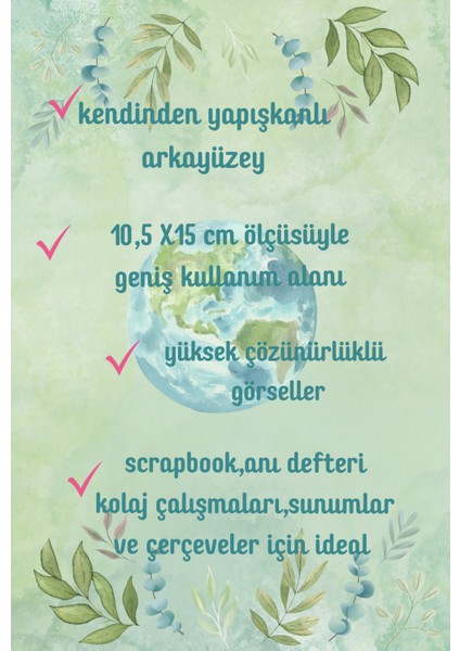 Sooprınt Soft Flowers Çıkartma Scrapbook/bullet Journal / Defter / Ajanda //planner/ Koleksiyonu