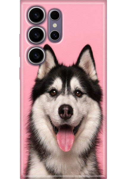 Samsung Galaxy S24 Ultra Kılıf Motifli Renkli Esnek Silikon Hasky