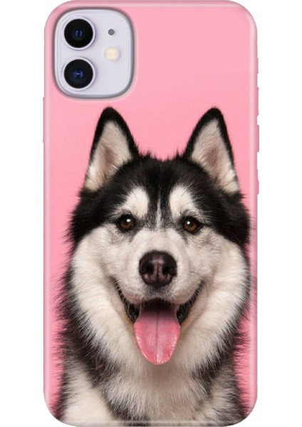 Apple iPhone 11 Kılıf Renkli Temalı iPhone 11 Silikon Hasky