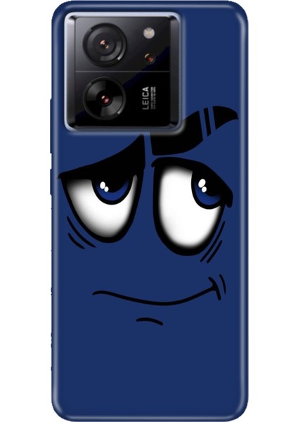 Xiaomi Mi 13T - 13T Pro Kılıf Desenli Ermer Silikon Acaba
