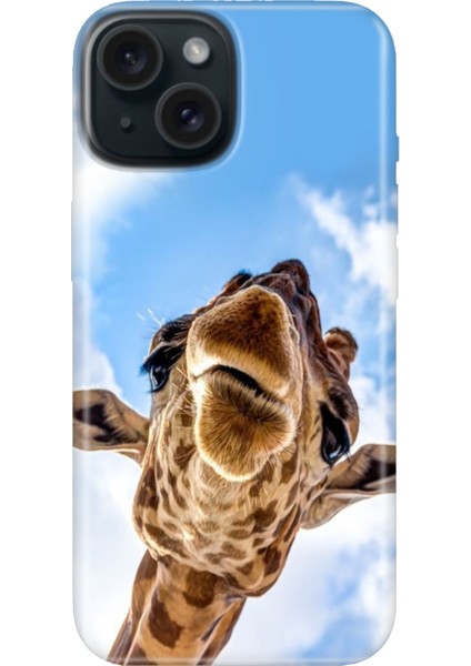 iPhone 15 Uyumlu Kılıf Desenli Kapak Renkli Tpu Uv Öpücük