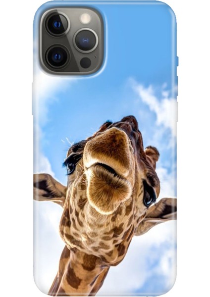 Apple iPhone 12 Pro Kılıf Tasarım Baskılı Silikon Öpücük