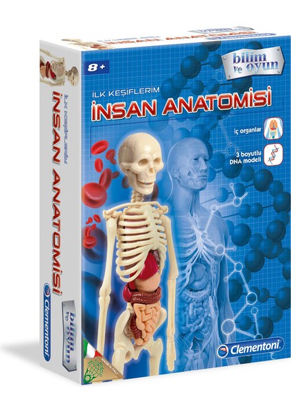 Ilk Keşiflerim - Insan Anatomisi