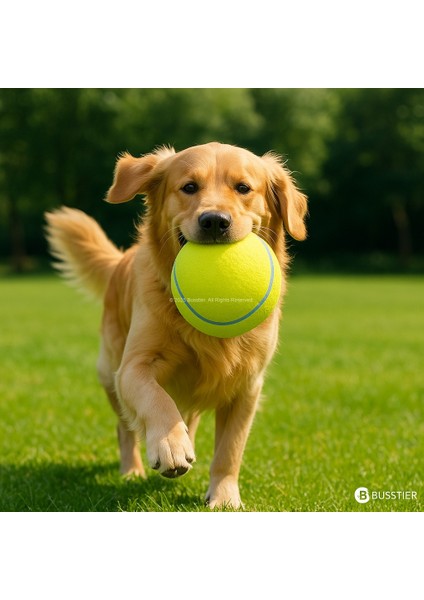14 cm Dev Köpek Tenis Topu – Dayanıklı, Diş Dostu, Açık Alan Oyuncağı