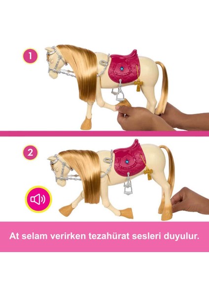 Dans ve Gösteri Atı HXJ42