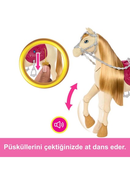 Dans ve Gösteri Atı HXJ42