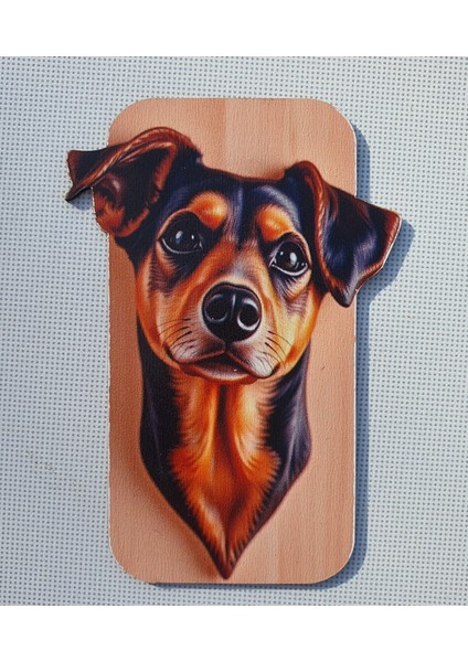 2 Adet 3D Görünümlü Köpek Magnet 6 x 9 cm