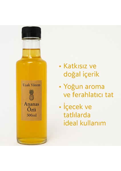 Ananas Özü 500 ml