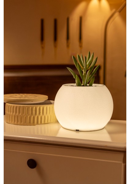 Moon LED Işıklı Küre Saksı – Gece Lambası Özellikli Dekoratif Saksı