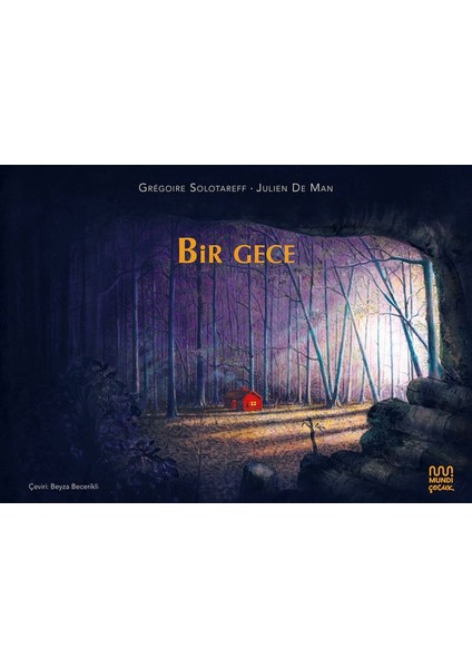 Bir Gece
