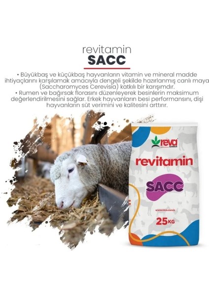 Revitamin Sacc - , Geçiş Döne mleri Hayvan Yem Katkı Kraft-Kova indirimleri