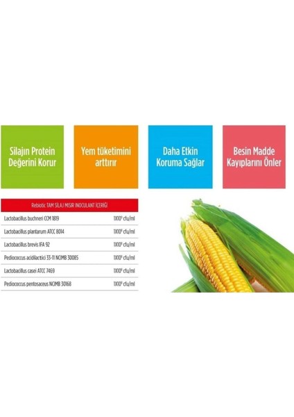 Rebiotic Tam Silaj Inokulanti 1 kg - 5 kg - 20 kg Silaj Koruyucusu