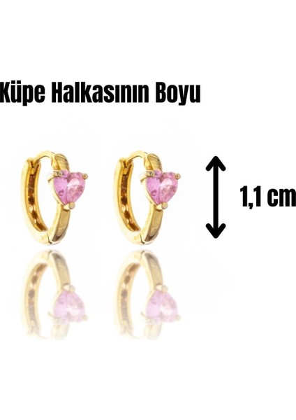 Pink Love Gümüş Küpe fiyatları