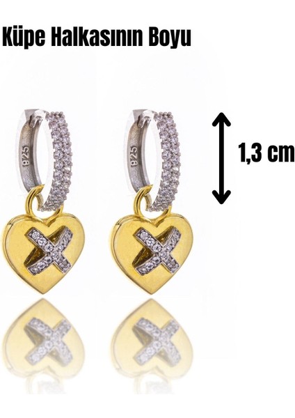 Heart Passion Gümüş Küpe fiyatları