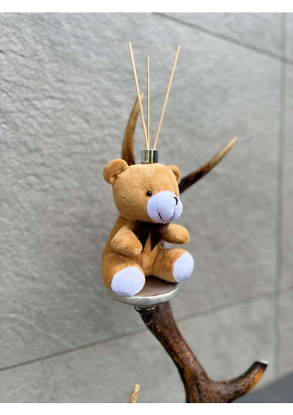 Oda Kokusu Vanilya Aromalı Kahve Peluş Ayıcık Içerisinde, Özür Dilerim Kartlı 15 ml Kalıcı Koku Ferahlık