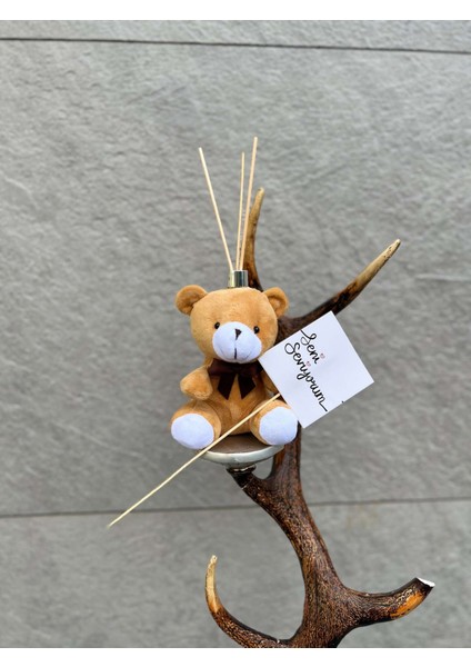 Oda Kokusu Vanilya Aromalı Kahve Peluş Ayıcık Içerisinde, Özür Dilerim Kartlı 15 ml Kalıcı Koku Ferahlık