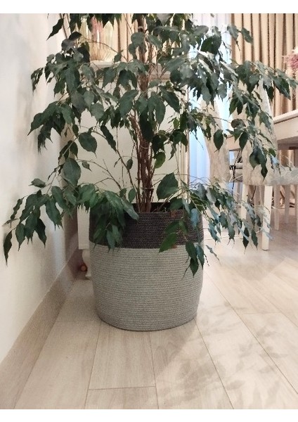 35*35 Çok Amaçlı Dekoratif Sepet