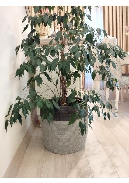 35*35 Çok Amaçlı Dekoratif Sepet fırsatları