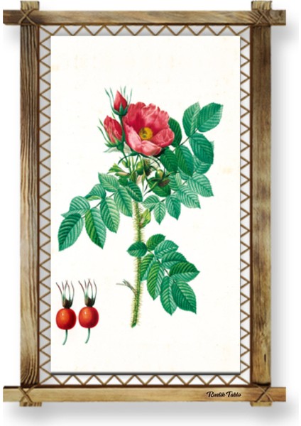 Rustik,ledli Kanvas Tablo Çiçek K