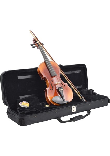 Dominguez Profesyonel Keman 4/4 (DVPG44-P1)