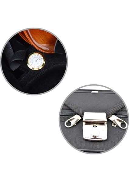 Dominguez Profesyonel Keman 4/4 (DVPG44-P1) fiyatları