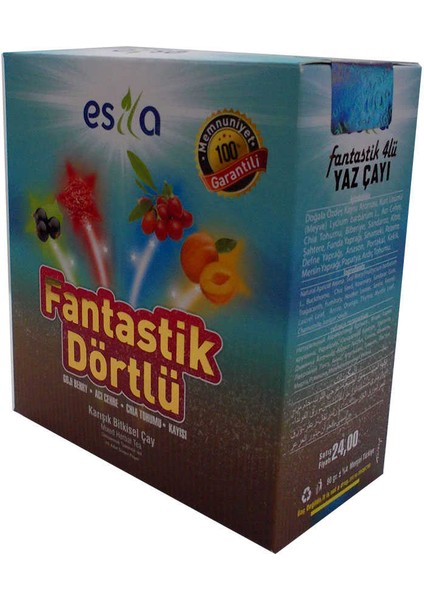 Fantastik Dörtlü Bitkisel Yaz Çayı 45 Süzen Poşet