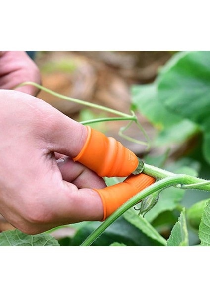 Angel Of Life Pratik Baş Parmak Sebze Kesme Ayıklayıcı Erkek L Set