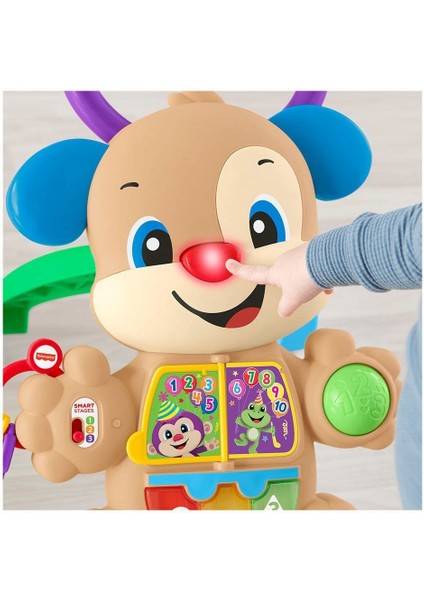 FTG10 Fisher-Price® Eğitici Köpekçik Yürüteç /türkçe