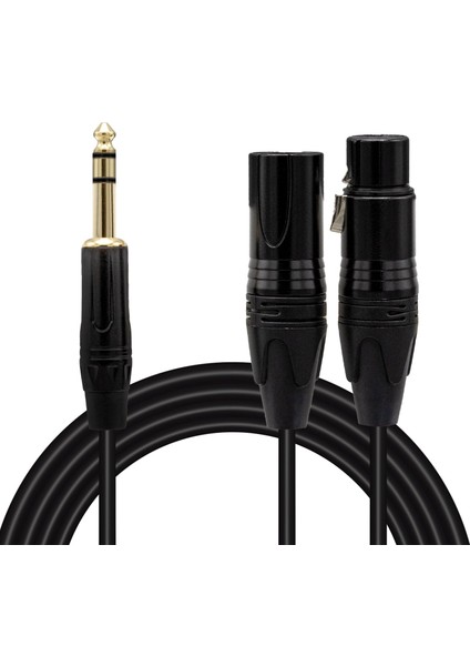 OEM Powermaster LD390A Canon Erkek Dişi + 6.3mm Stereo Erkek 1.5 Metre Kablo