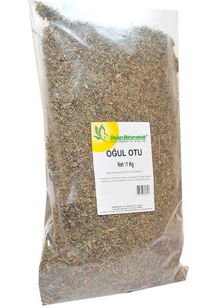 Doğal Oğul Otu 1000 gr Paket modelleri