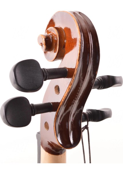 Keman Tam Takım 4/4 Manuel Raymond (MRV44DC) fiyatları