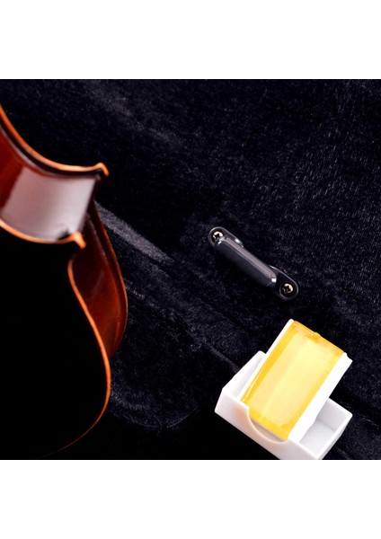 Keman Tam Takım 4/4 Manuel Raymond (MRV44DC) modelleri