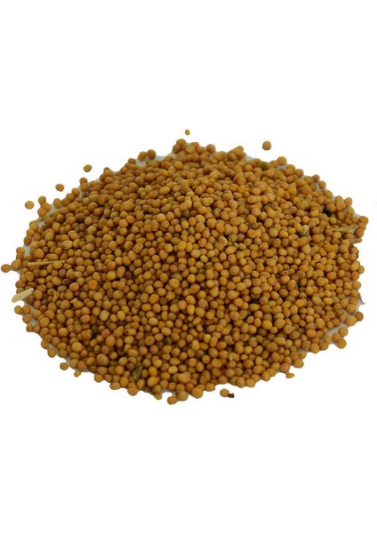 Hardal Tohumu Tane Doğal Sarı 100 gr Paket fiyatları