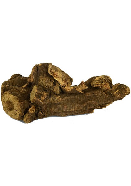 Doğal Ravent Kökü 100 gr Paket
