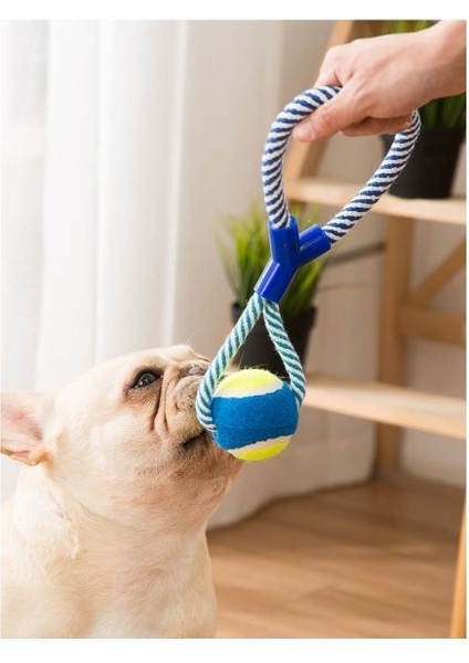 Halatlı Köpek Çiğneme Topu