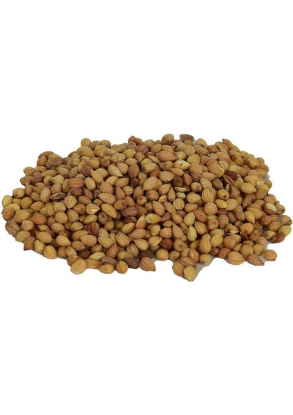 Mahlep Doğal Tane 100 gr Paket