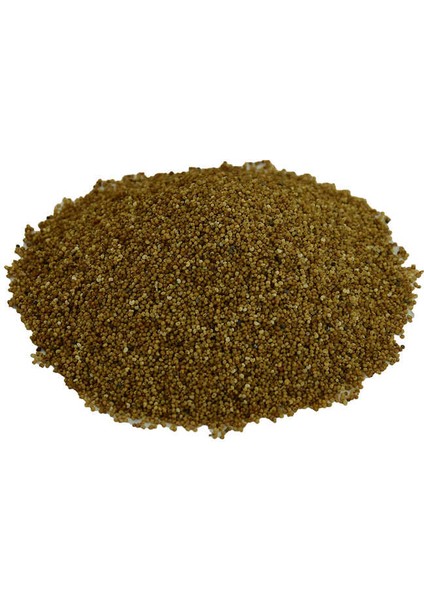 Haşhaş Tohumu Tane Doğal Sarı 100 gr Paket fiyatları