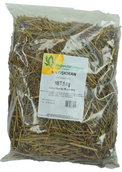 Kayışkıran Otu Doğal 1000 gr Paket
