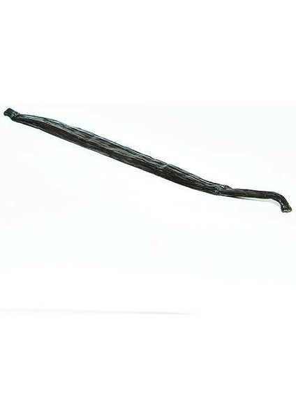 Doğal Vanilya Çubuk Cam Fanus 1 Adet