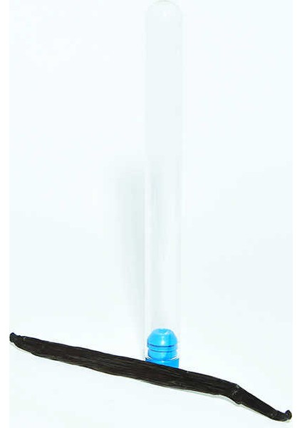 Doğal Vanilya Çubuk Cam Fanus 1 Adet modelleri