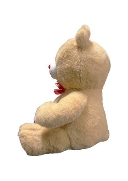 Hsyn 35 cm Pati̇len Kalpli̇ Ayi -Hly Akdenizpos Yeni